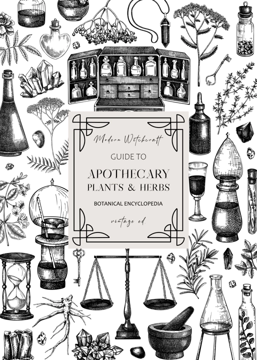 Antique apothecary frame on chalkboard. Hand-drawn vector illustrations. Alchemy sketches. Witchraft background. Vintage card or invitation design. NOT AI generated